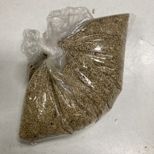 Alpiste 500g