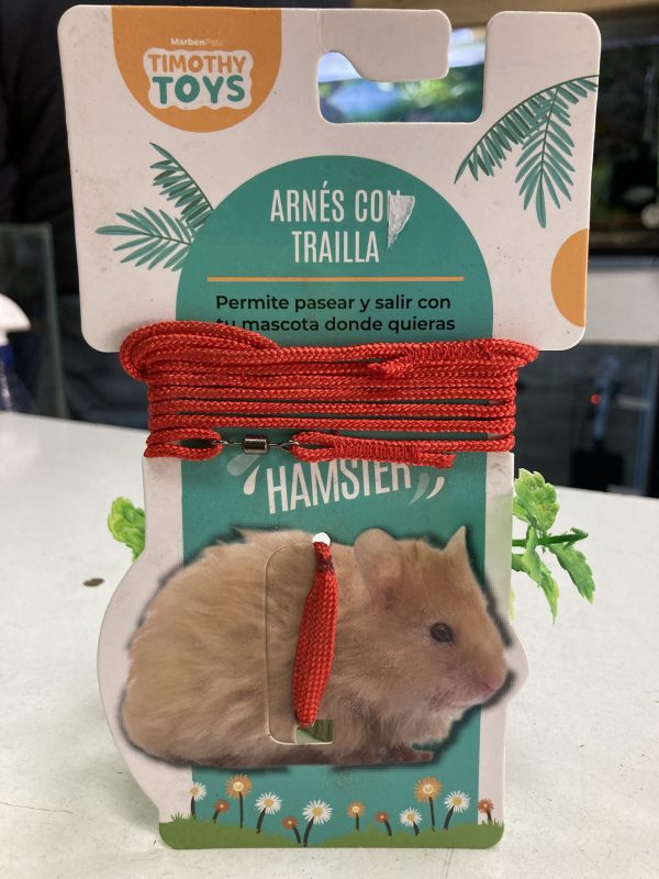 Arnes de Hamster