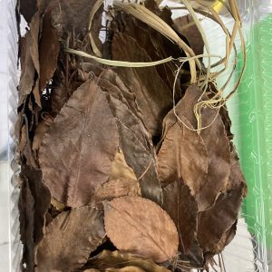 Hoja de almendron