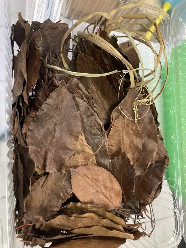 Hoja de almendron