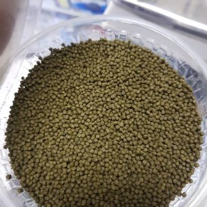 Sera Goldy Color Spirulina 50 GR
