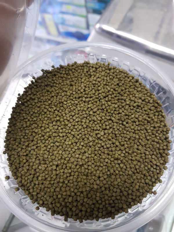 Sera Goldy Color Spirulina 50 GR
