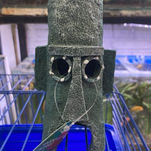 Adorno Acuario Calamardo