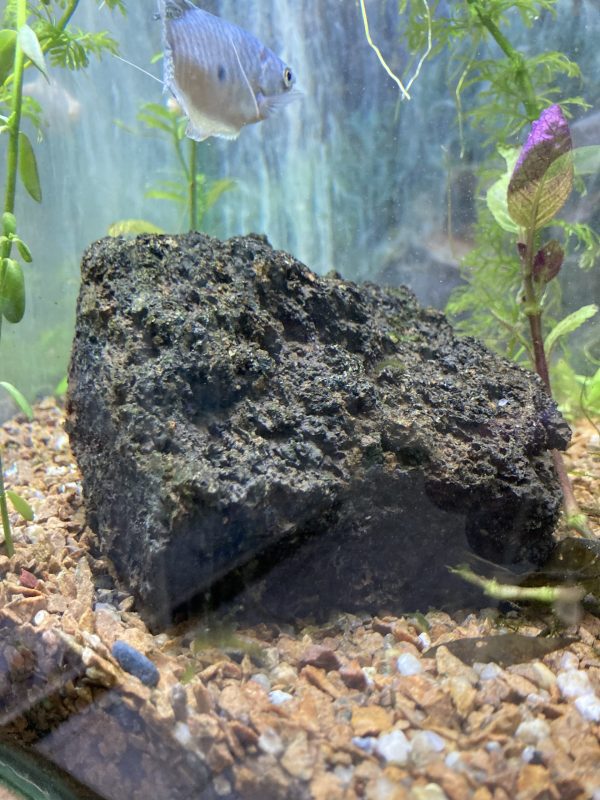 Roca volcanica