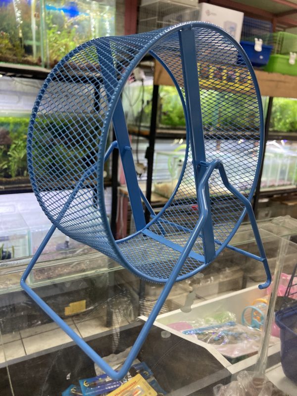 Rueda Hámster Antideslizante XL
