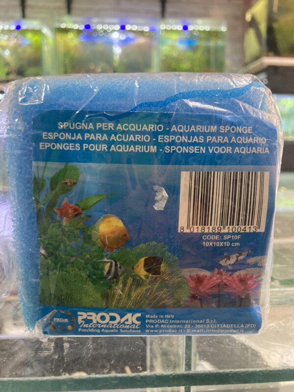 Prodac Esponja para acuario 10x10x10