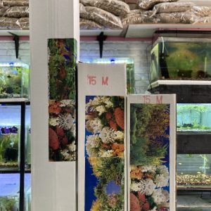Fondo de acuario doble 60 CM