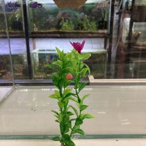 Adorno planta 28x8.5cm