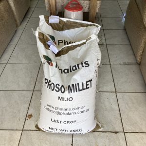 Mijo blanco 25 KG