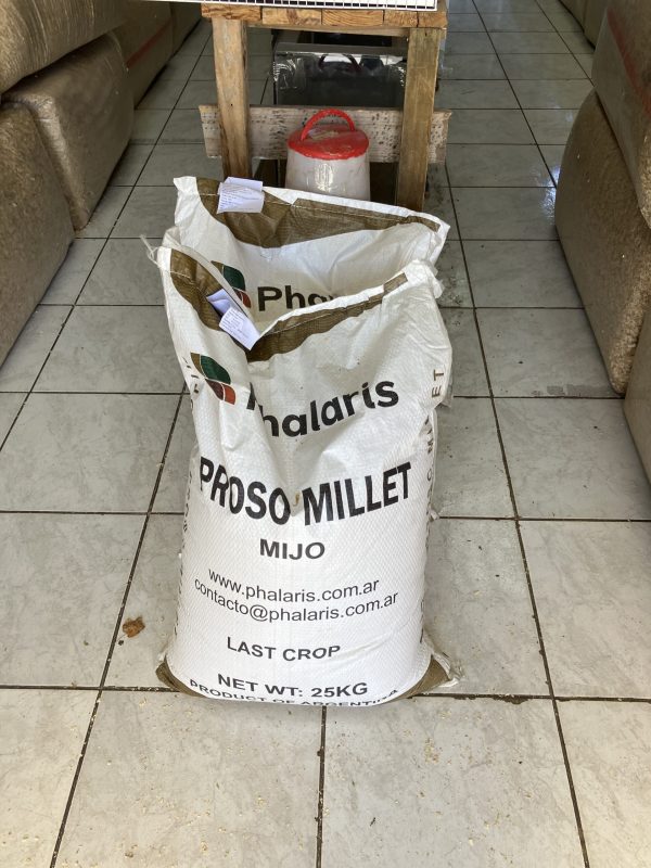 Mijo blanco 25 KG