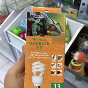 Ampolleta Desierto Reptil UVB Tropical 13 W