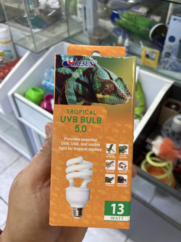 Ampolleta Desierto Reptil UVB Tropical 13 W
