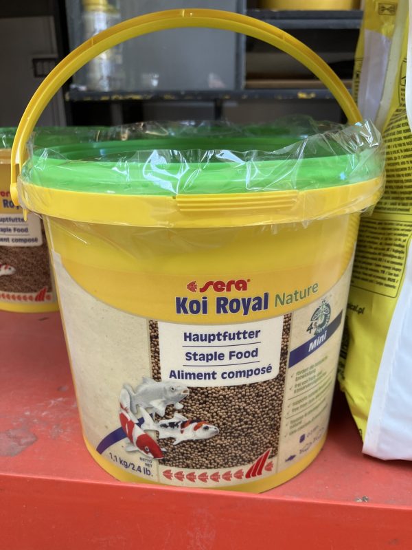 Koi Royal Mini 3800 ML