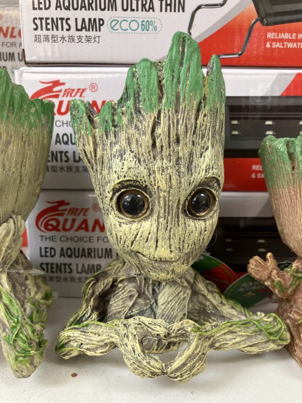 Adorno Groot con difusor 11x8x14 CM