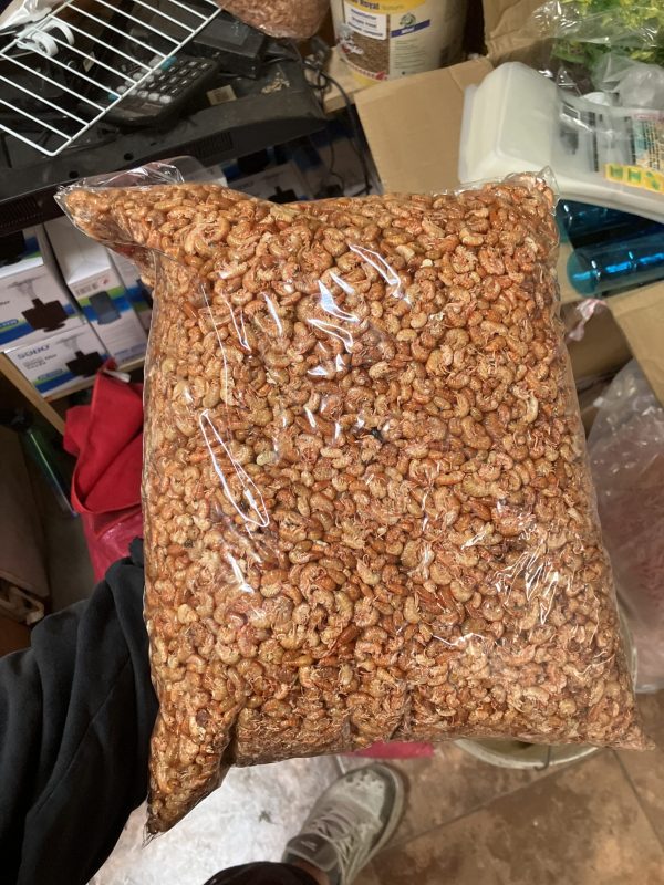 Pulga 1 KG