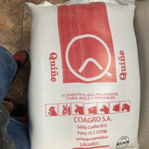 Coagro Broiler Inicial Mol 19% 25KG