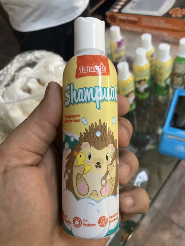 NFP Shampuas