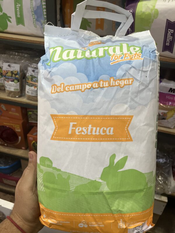 NFP Heno de Festuca