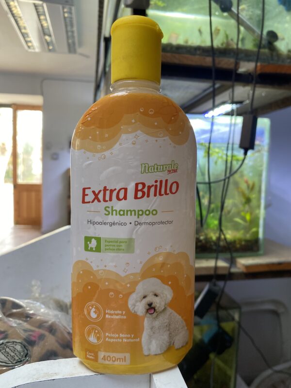 NFP Shampoo Extra Brillo