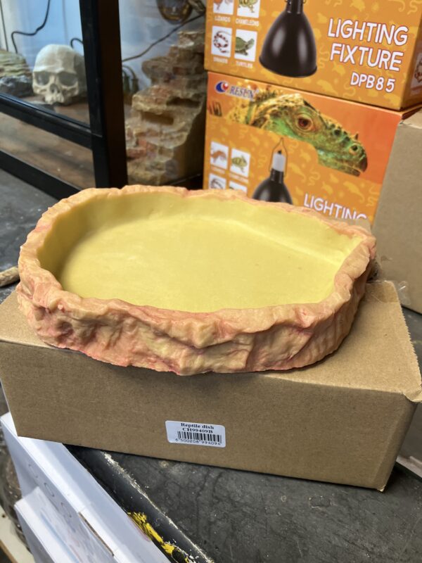 Plato Reptiles 20x16x3.5CM