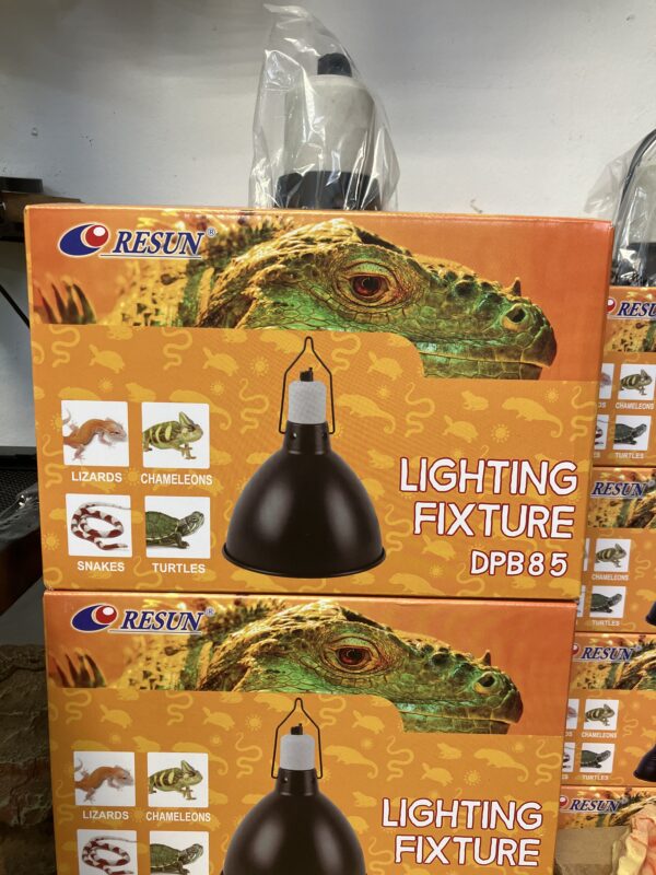 Accesorio iluminacion reptiles 210x175mm