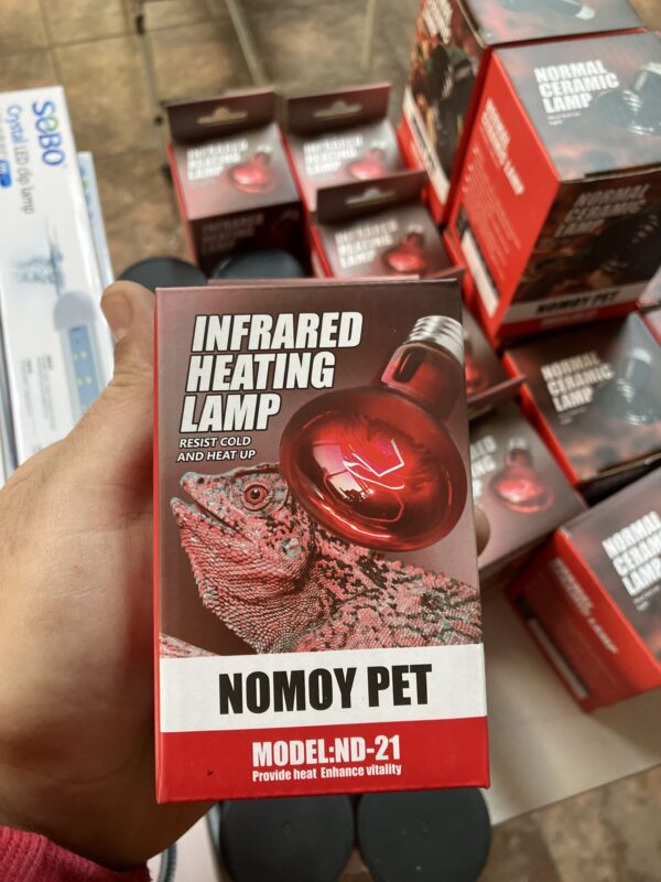 Ampolleta Infrarojo 100w