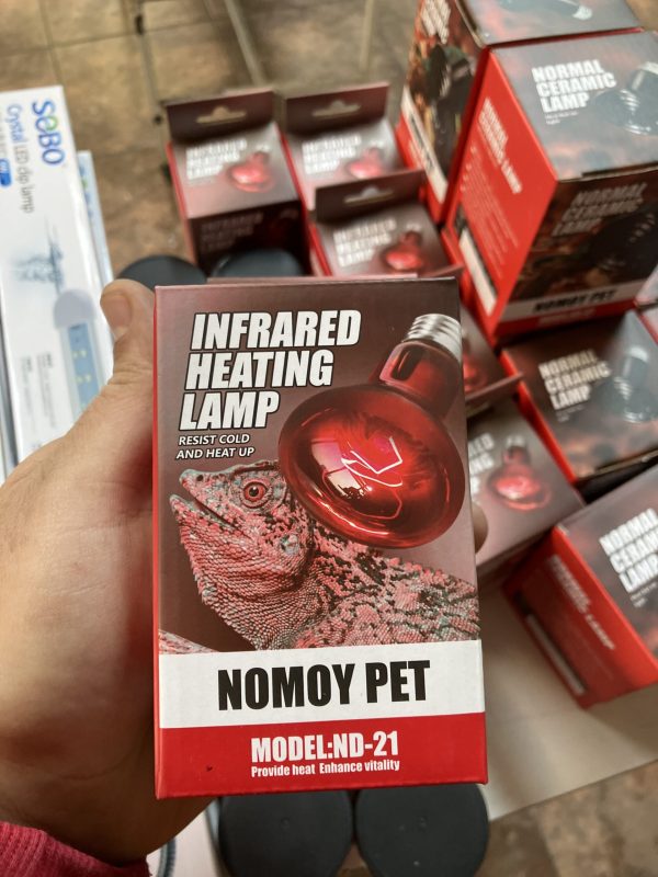 Ampolleta Infrarojo 100w