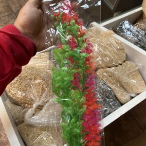 Set de 2 plantas 40 CM
