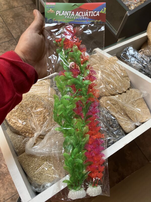 Set de 2 plantas 40 CM