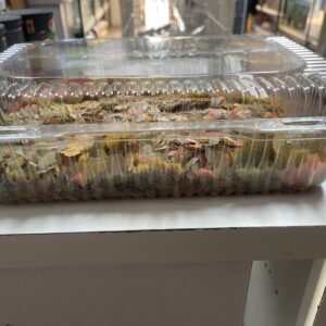 Hojuela Tropical en caja