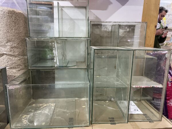 Terrarios usados con detalles