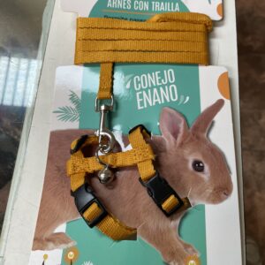 Arnes Conejo Pequeño