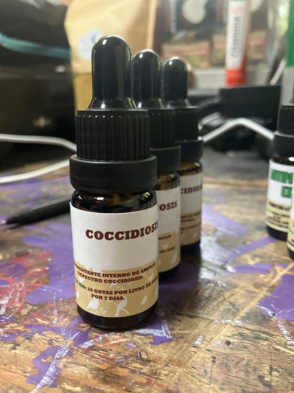 Coccidiosis