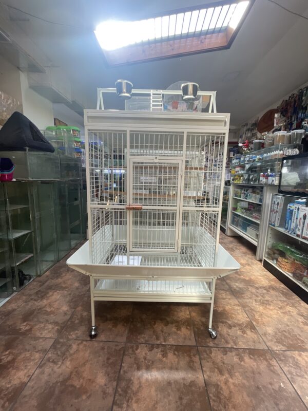 Jaula para loros