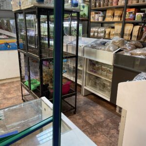 Piedra Difusora 14″ 35cm