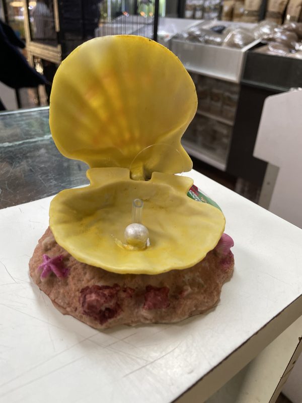 Adorno Almeja - Imagen 2