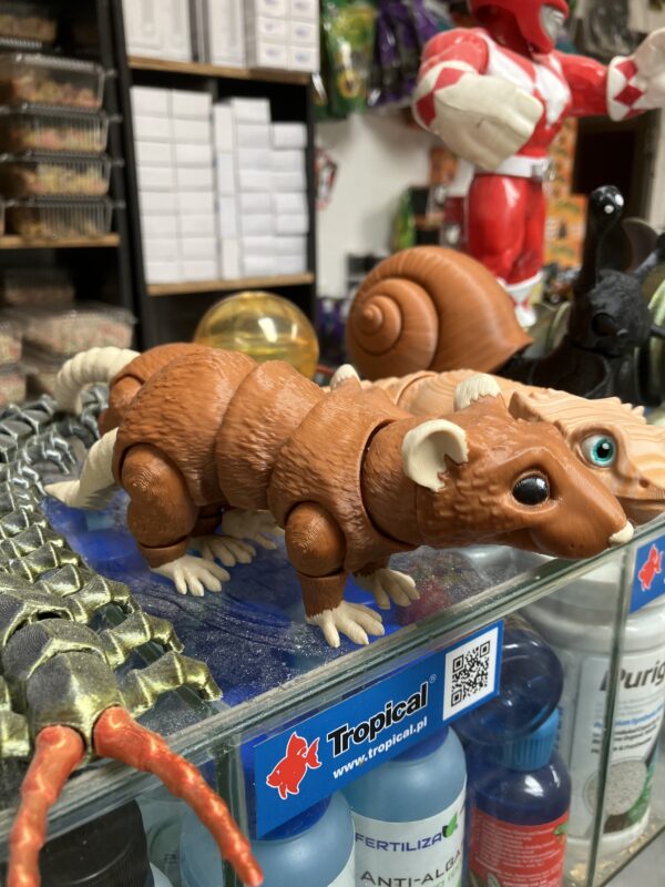 3D Rata