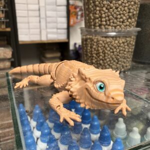 3D Barbudo