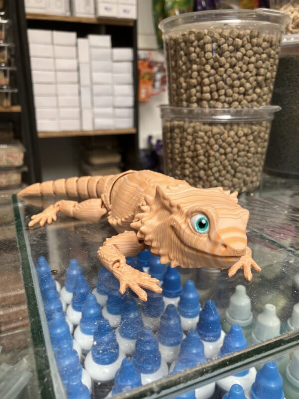 3D Barbudo