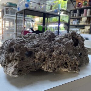Pieza de roca pome