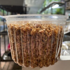 Gamarus pote