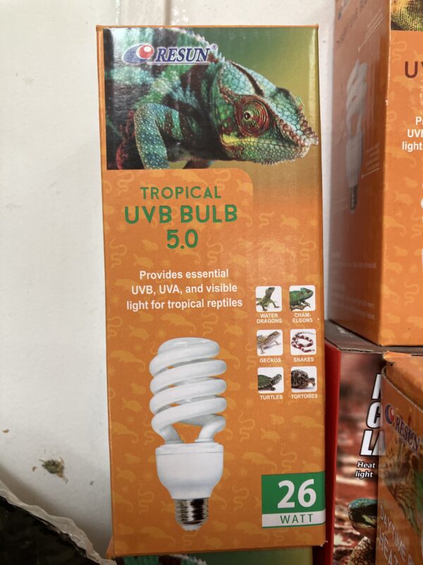 Ampolleta tropical reptil 26watt 5.0
