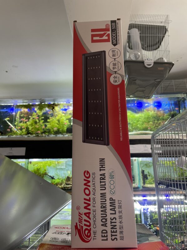 Led Quanlong 50 cm