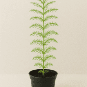 Planta Myriophyllum roraima 5x5.000