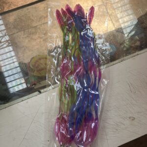 Set de 2 plantas de 30cm