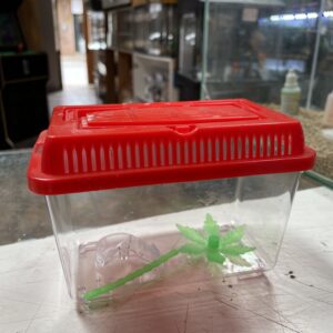 Caja transportadora con tapa