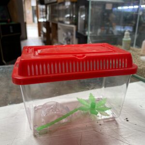 Transportadora con tapa