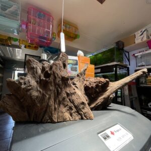 Tronco diseños talla XXL