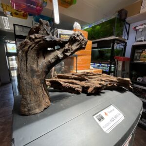 Tronco diseños talla XL