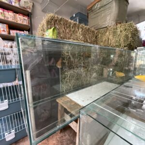 Acuario de vidrio 150x50x40 300L